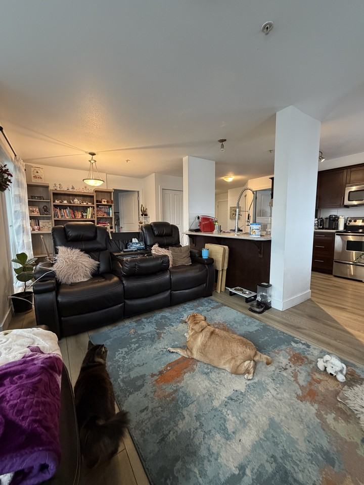 46289 Yale Rd #213 - Photo 5 of 17