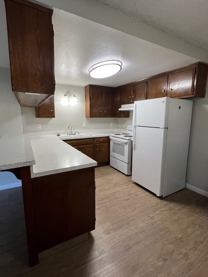 Raintree Garden Apartments - Photo 4 of 31