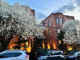 Sycamore - Photo 1 of 1