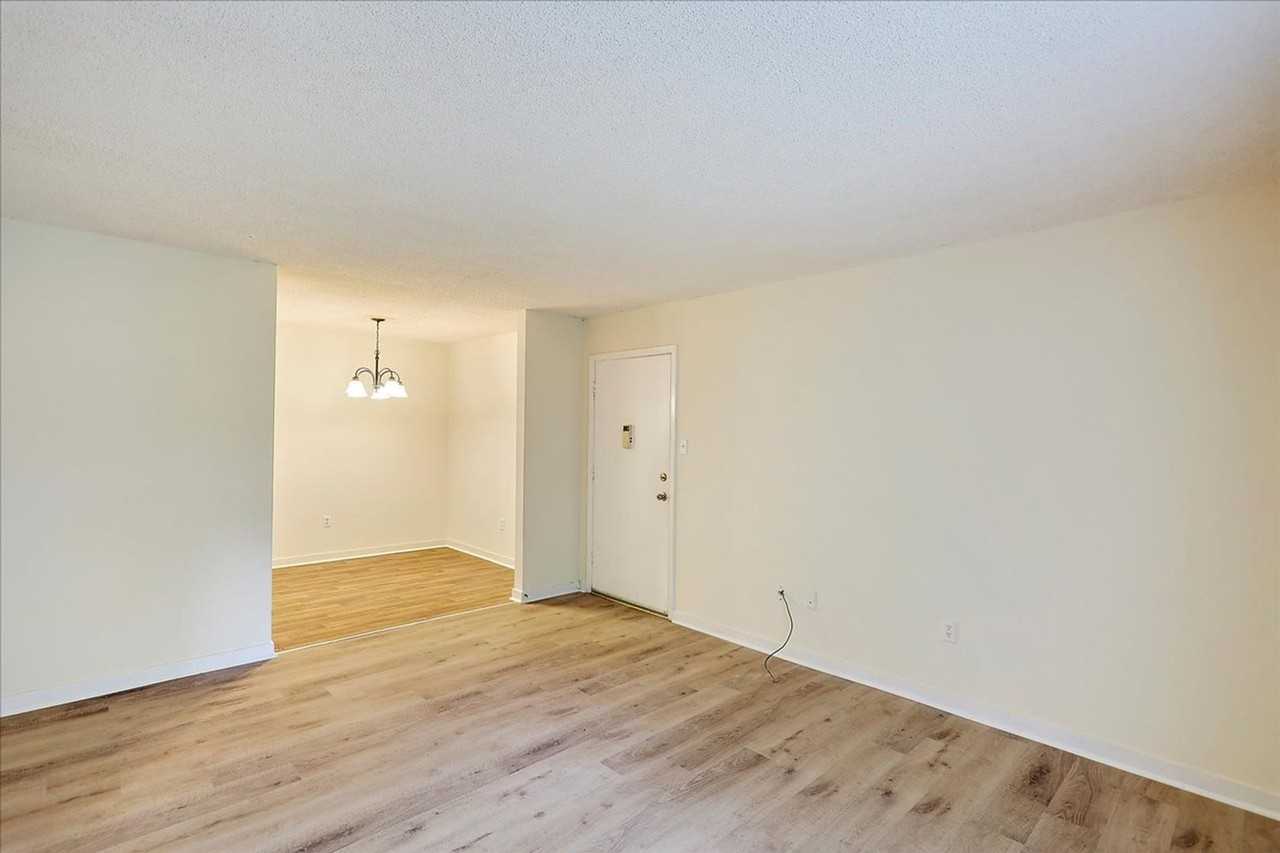 The Veranda Apartments, 1140 Greymont Avenue - Photo 4 of 10