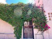 5351  Louis Place LLC - Photo 1 of 1