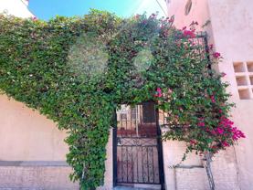 5351  Louis Place LLC - Photo 1 of 1