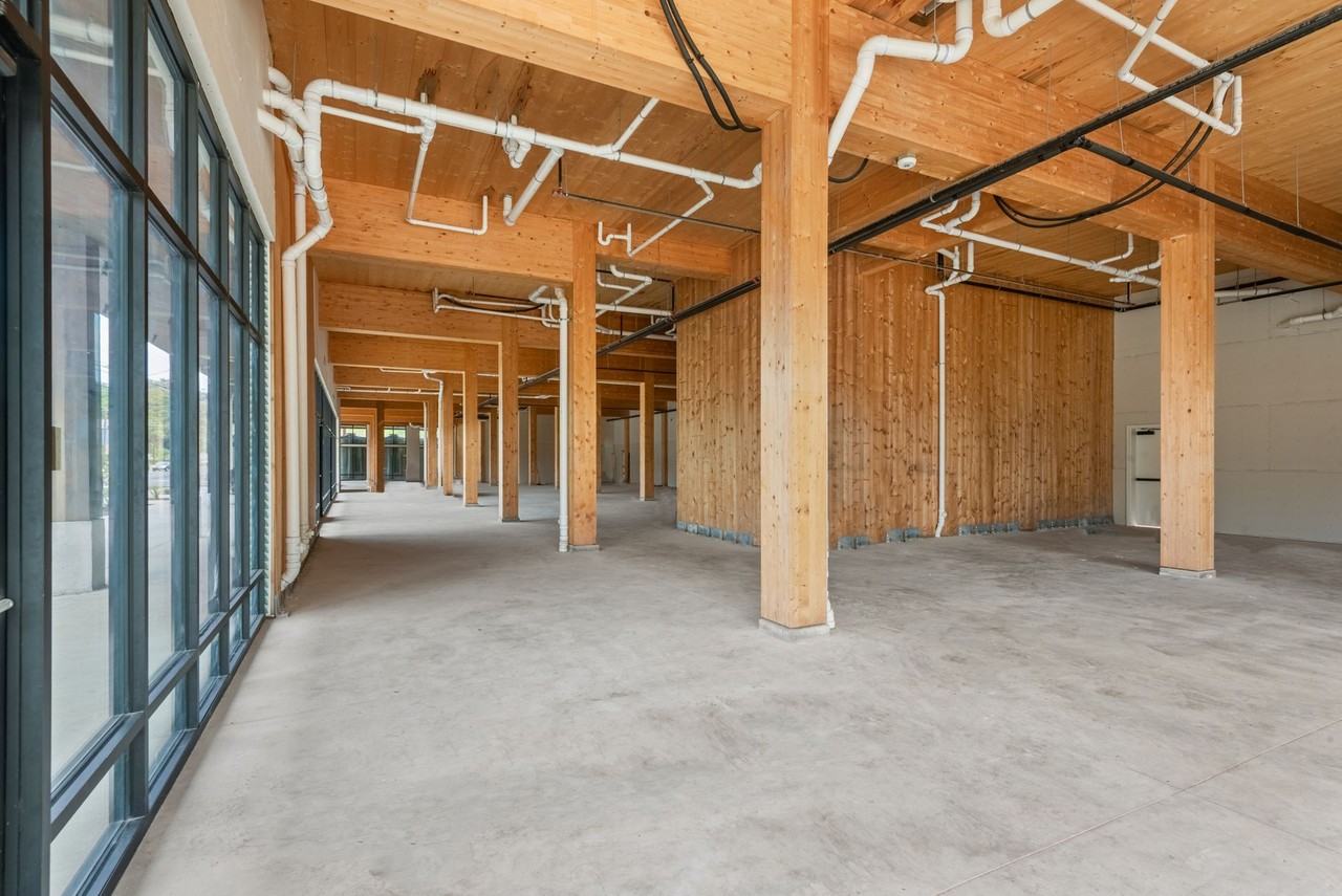 Nova Austin - Photo 4 of 30