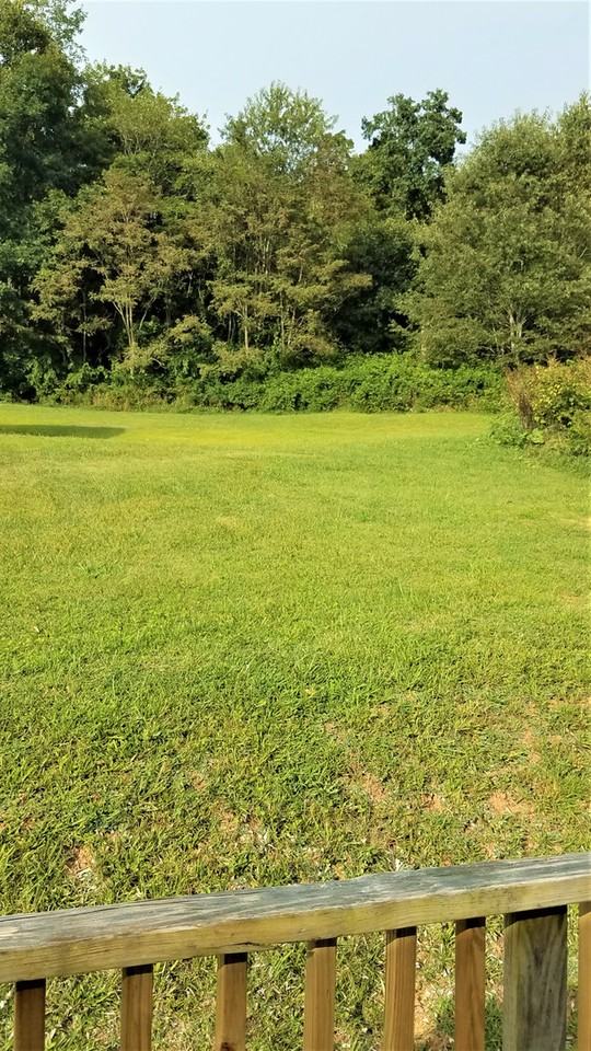 1617 Nettle Knob Rd #6 - Photo 2 of 19