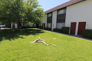 featured image of 10310 10310 El Camino Real - 02 #02