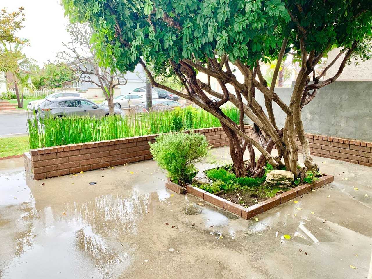 3491 Eboe St - Photo 3 of 46