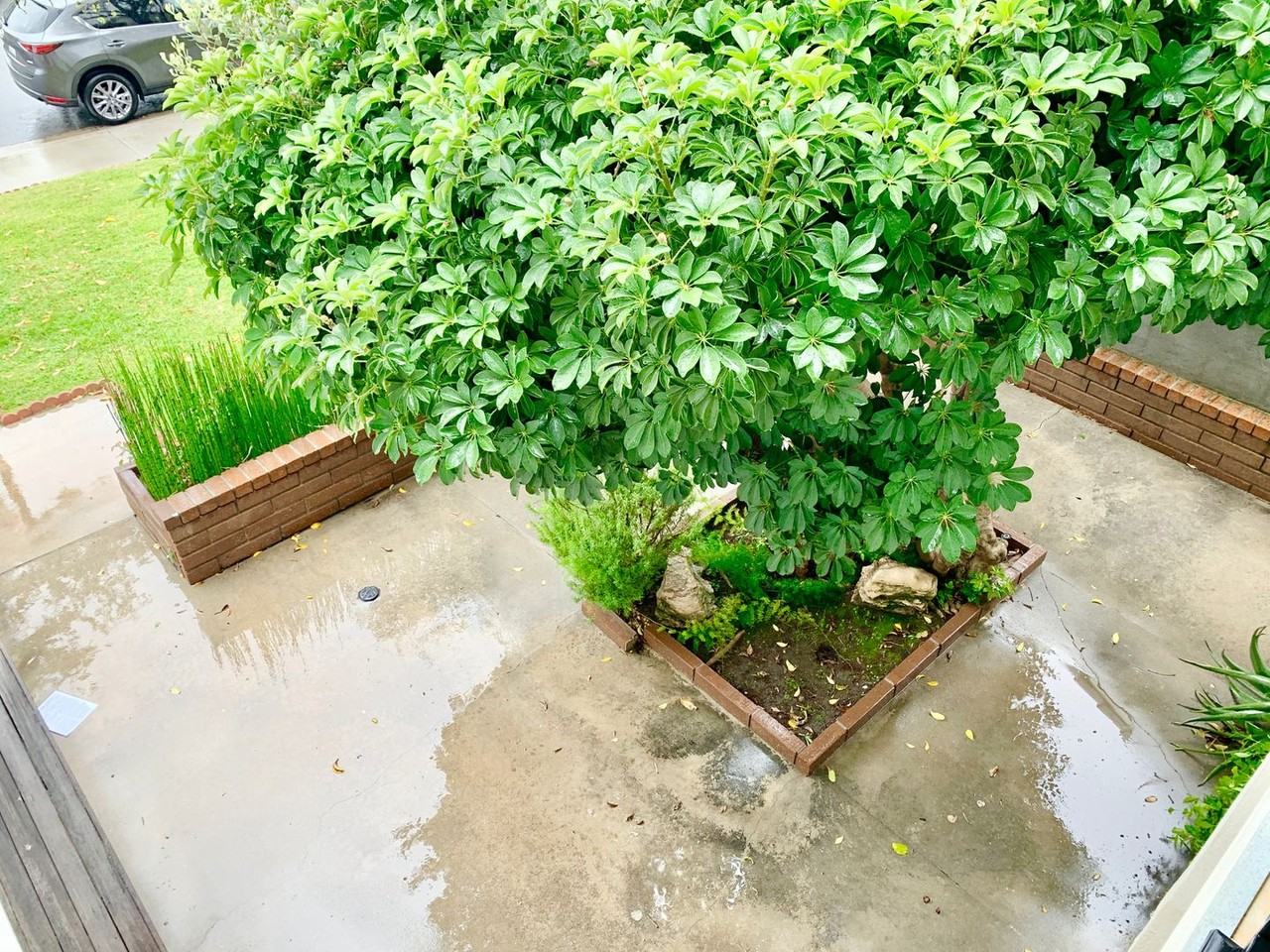 3491 Eboe St - Photo 4 of 46