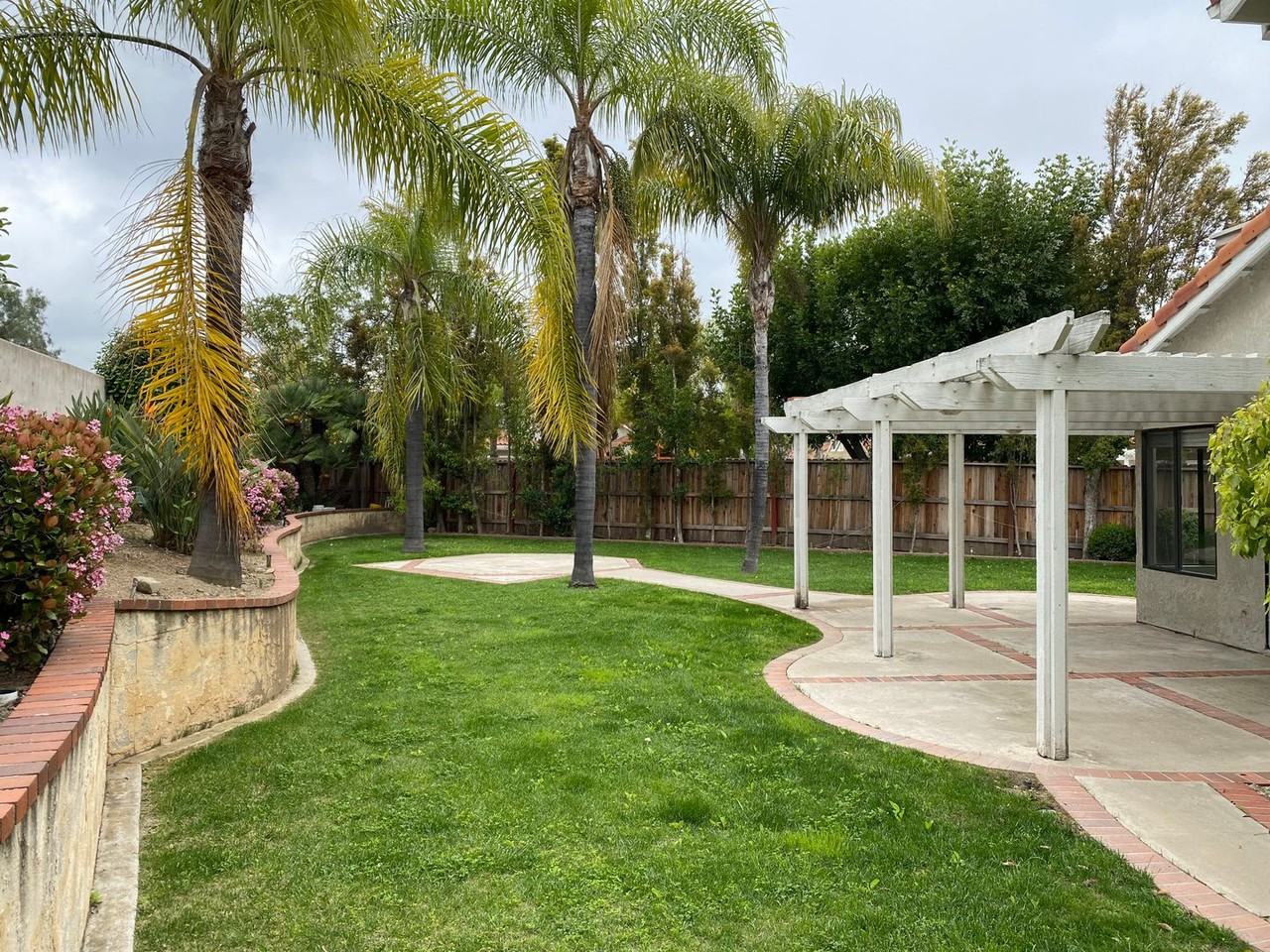 2 Sarracenia - Photo 6 of 21