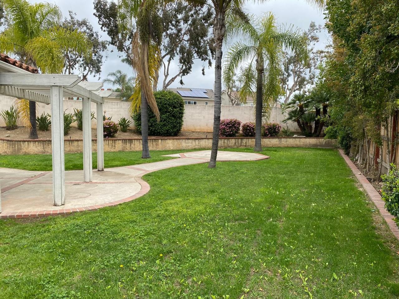 2 Sarracenia - Photo 7 of 21