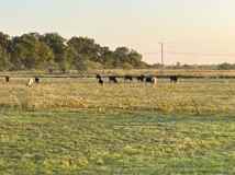 5260 5260 SWCR 1140 - Photo 1 of 1