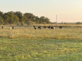 5260 5260 SWCR 1140 - Photo 1 of 1