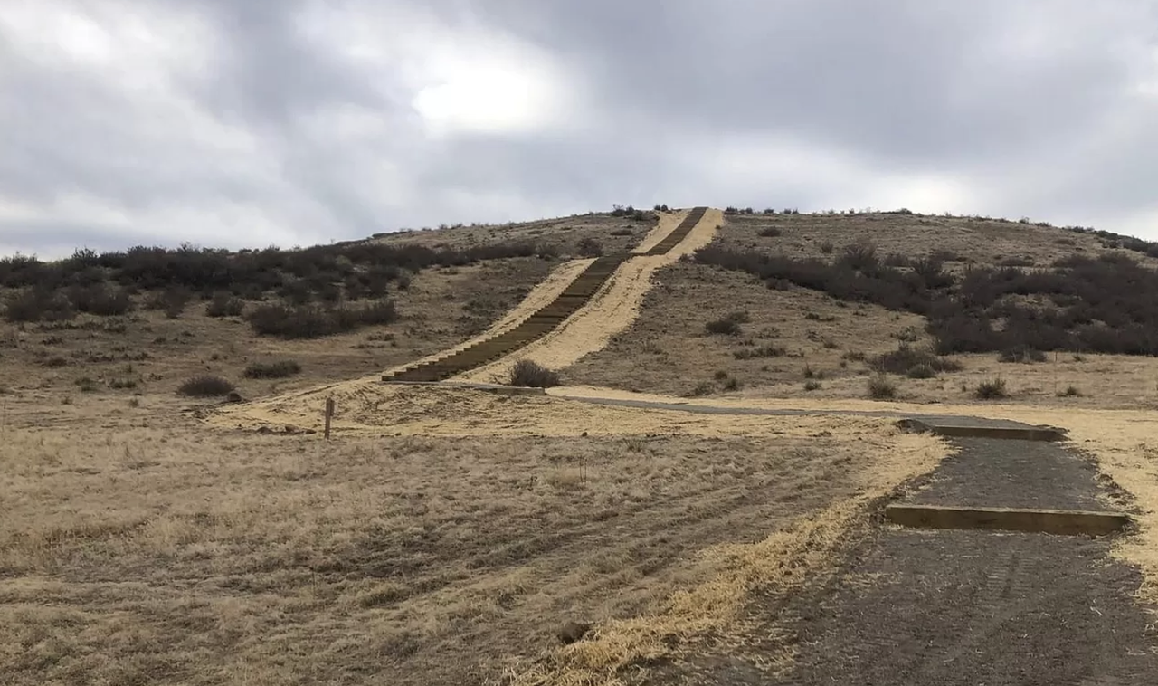 7201 Dove Ct - Photo 6 of 37