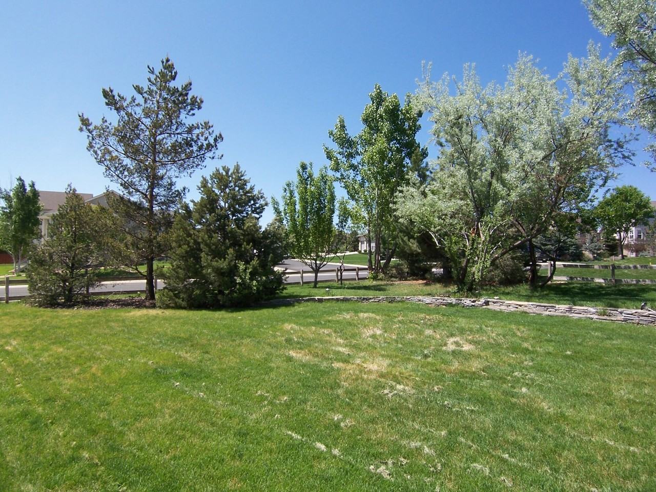 7201 Dove Ct - Photo 3 of 37