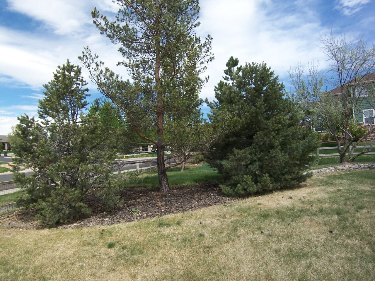 7201 Dove Ct - Photo 3 of 37