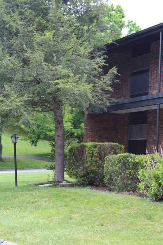 102 Terrace Ct - Photo 3 of 33