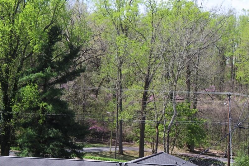 102 Terrace Ct - Photo 7 of 33