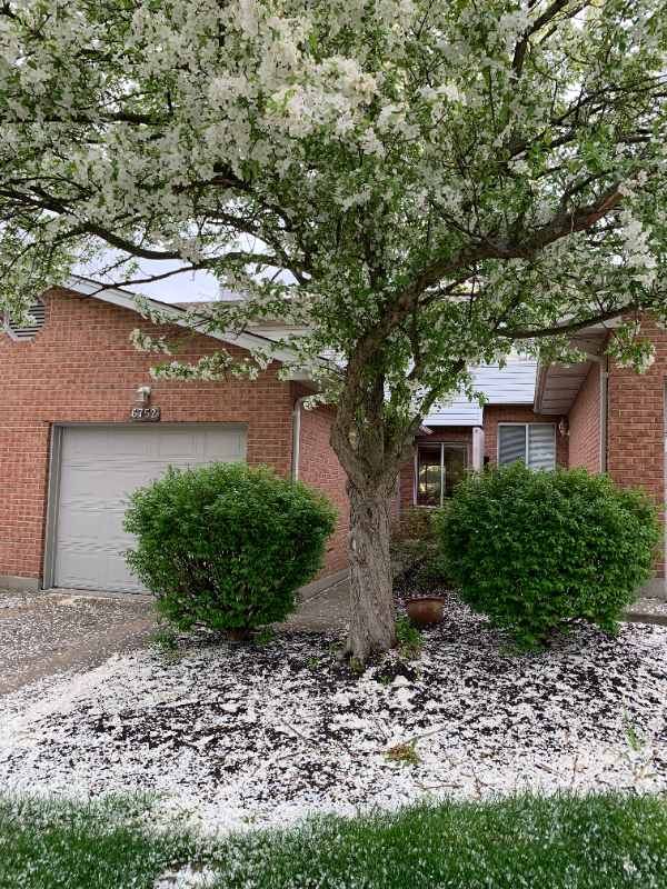 6752 Ashley Ct - Photo 3 of 32