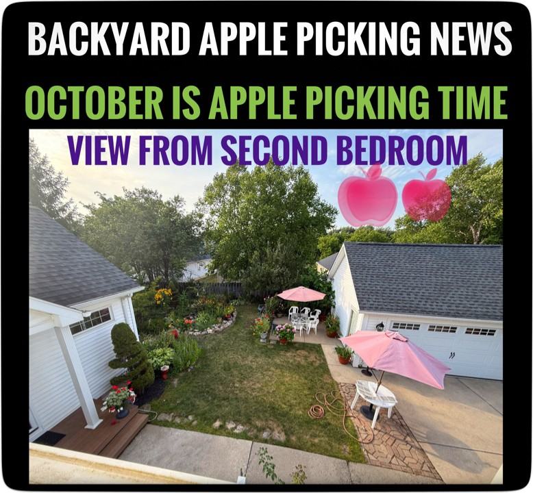 236 Crabapple Ln - Photo 7 of 21