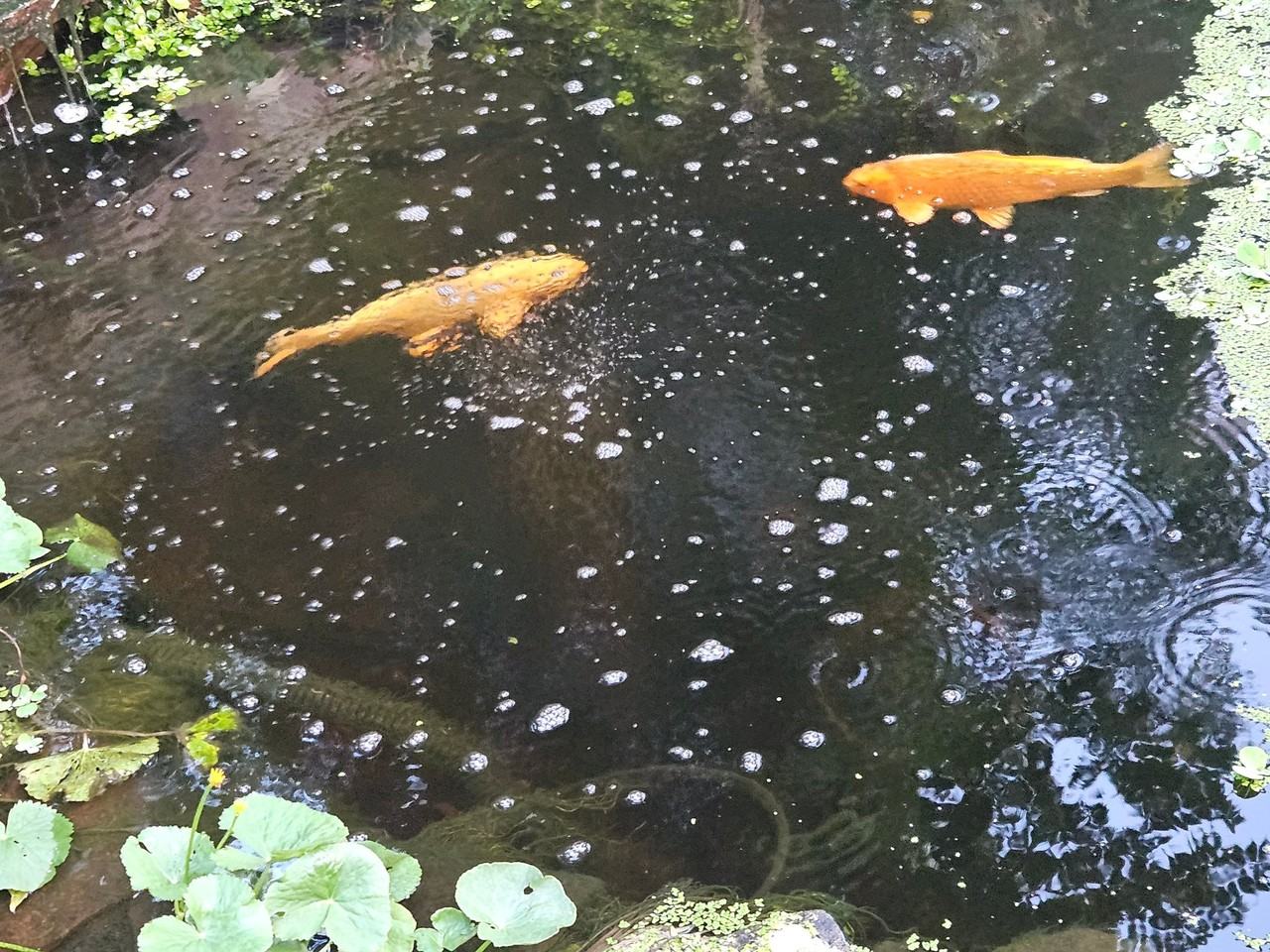 120 W 10th St - Photo 4 of 8