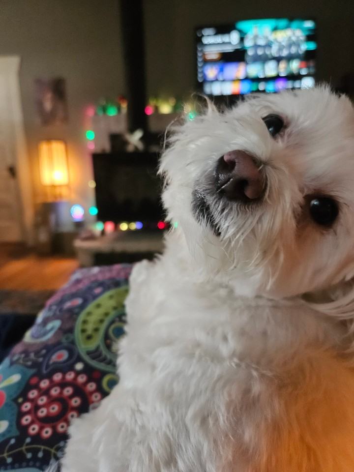 120 W 10th St - Photo 5 of 8