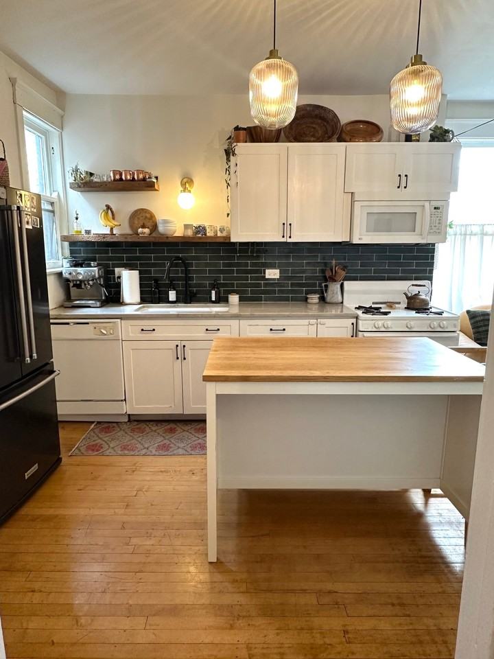 2333 S Hoyne Ave #3 - Photo 4 of 14