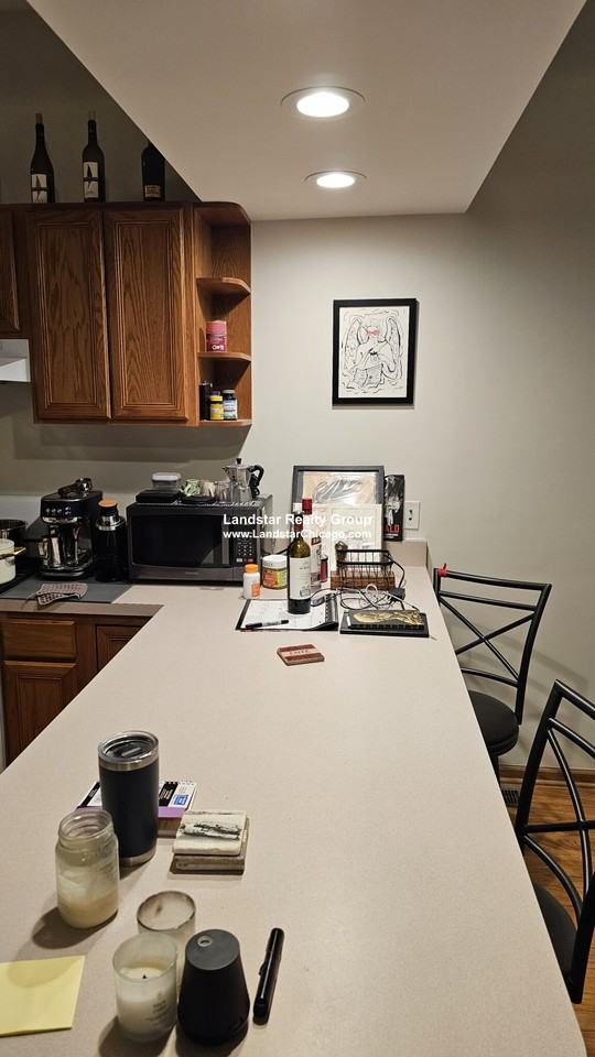 1427 N Wood St #1F - Photo 3 of 21