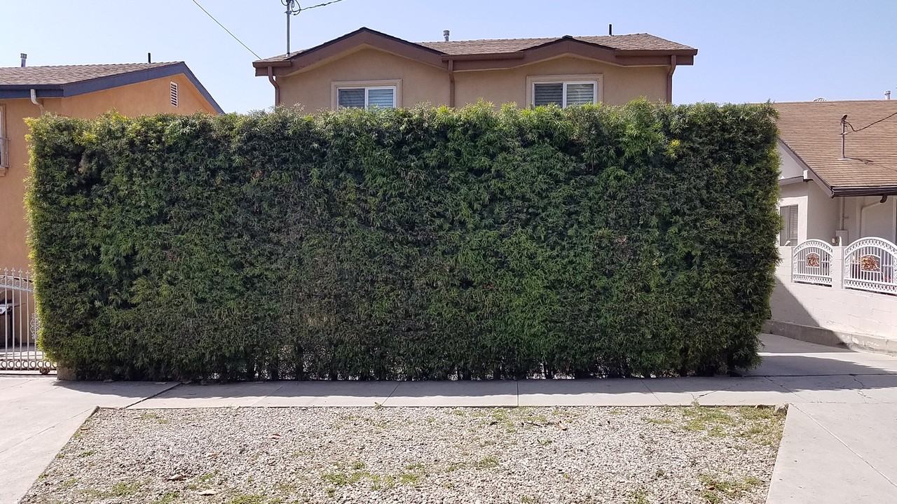 3424 Bellevue Ave #NA - Photo 2 of 50