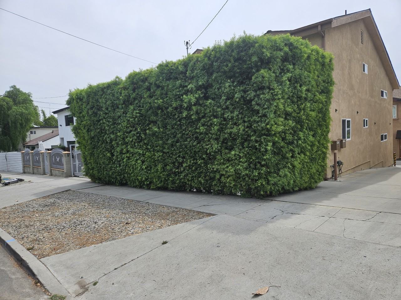 3424 Bellevue Ave #NA - Photo 5 of 50