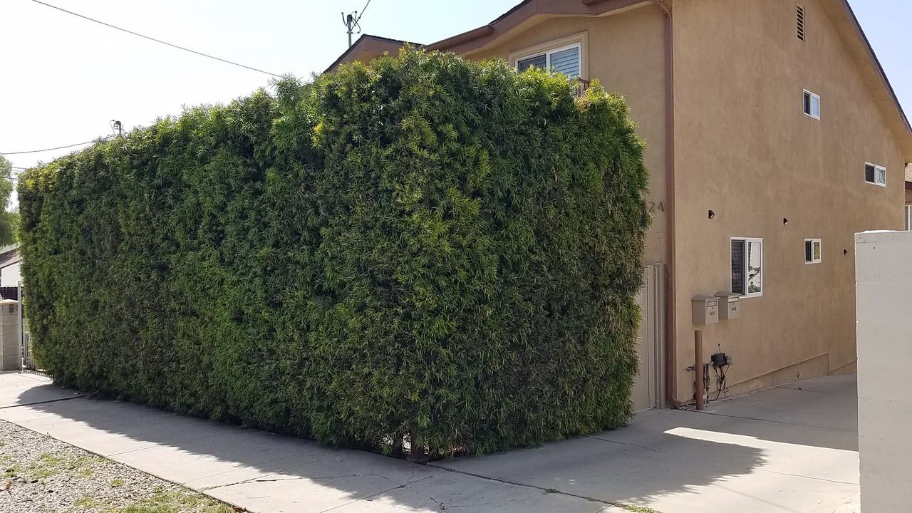 3424 Bellevue Ave #NA - Photo 6 of 50