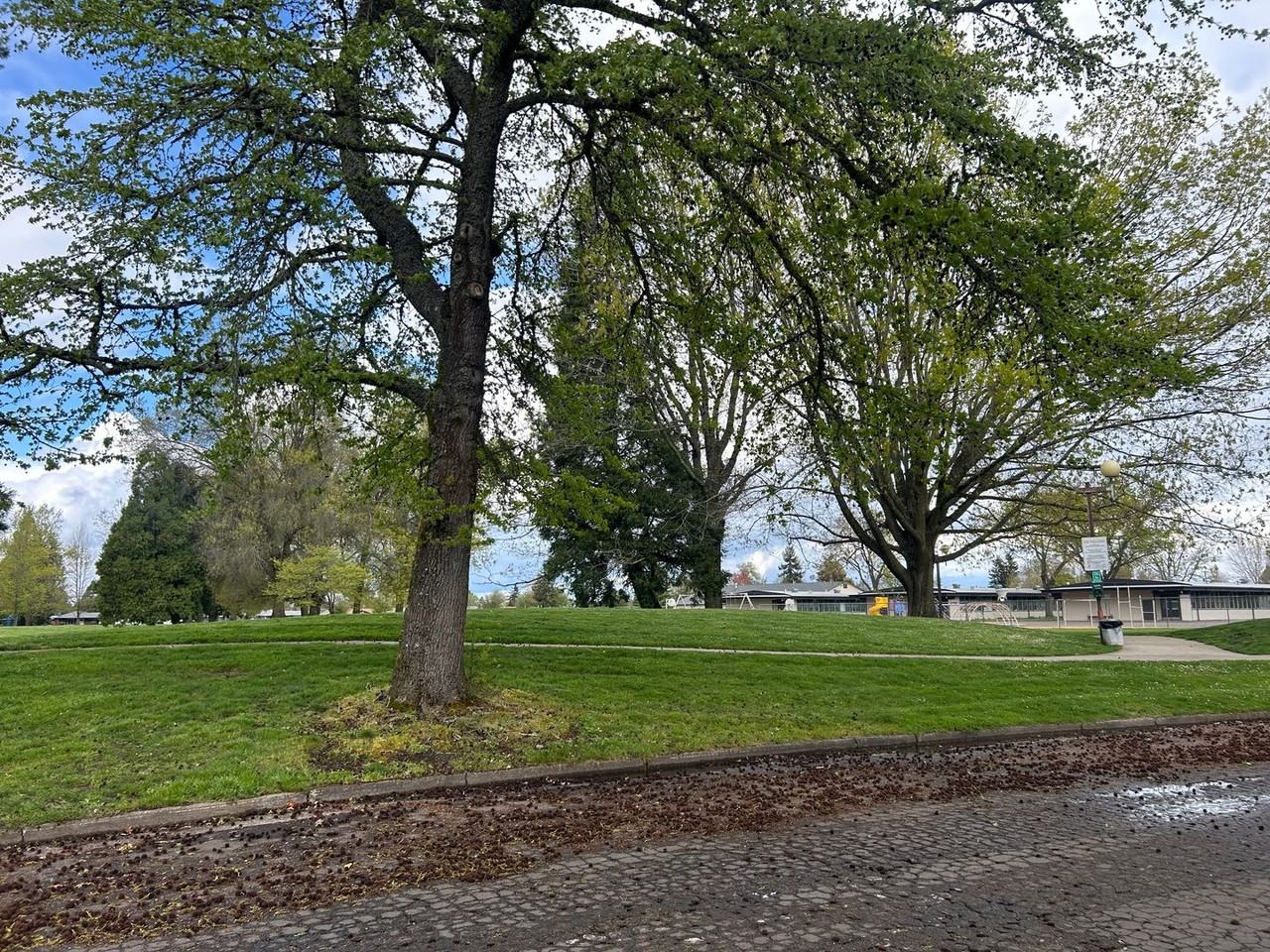 726 32nd Ave Se - Photo 3 of 4