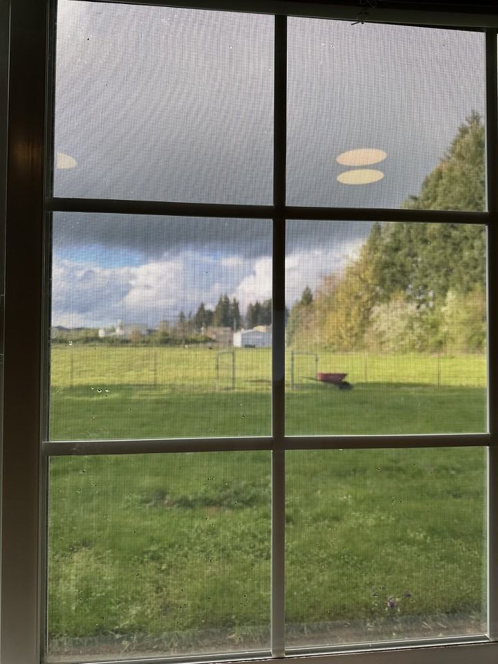 33465 Nieblock Ln #NA - Photo 6 of 27