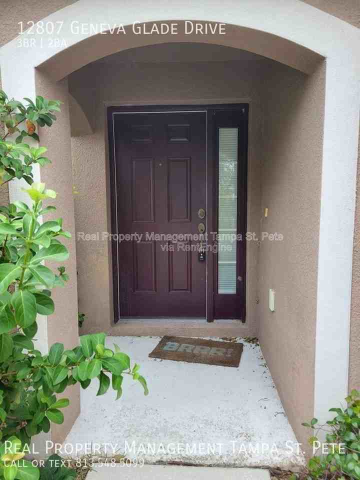 12807 Geneva Glade Dr - Photo 3 of 23