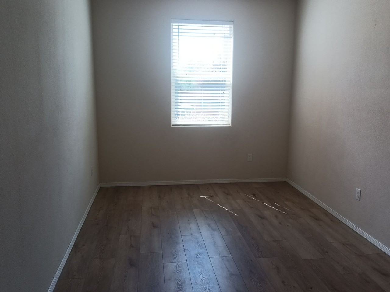 3069 Primo Colores - Photo 6 of 15