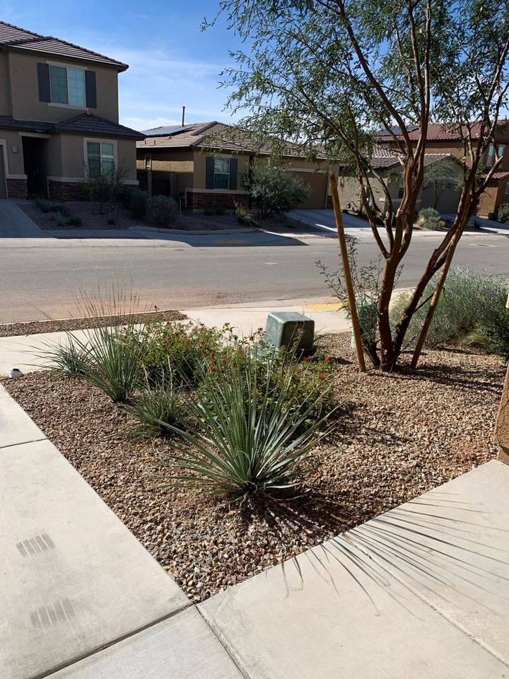 6567 E Via Arroyo Azul - Photo 5 of 50