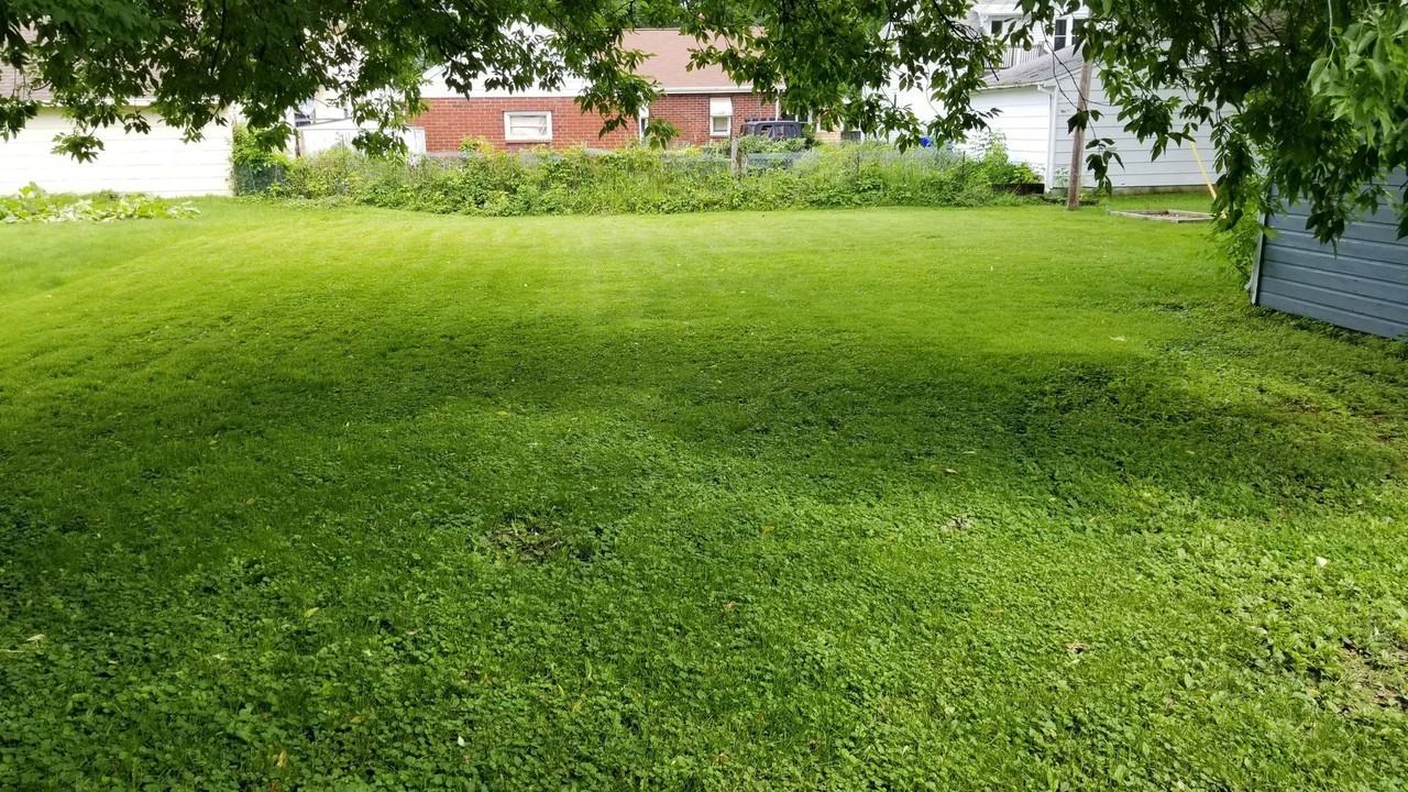 826 W Elsie St - Photo 5 of 14