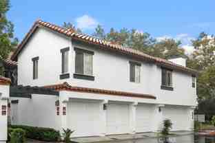 18 Celosia - Photo 1 of 1