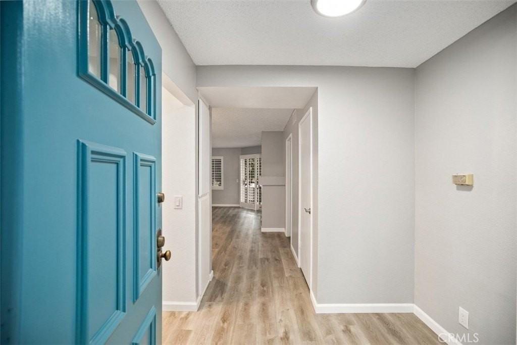 18 Celosia - Photo 3 of 25