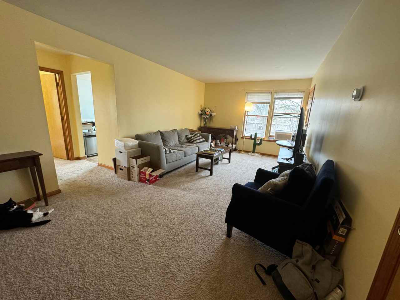 119 Etna Rd #B - Photo 2 of 29