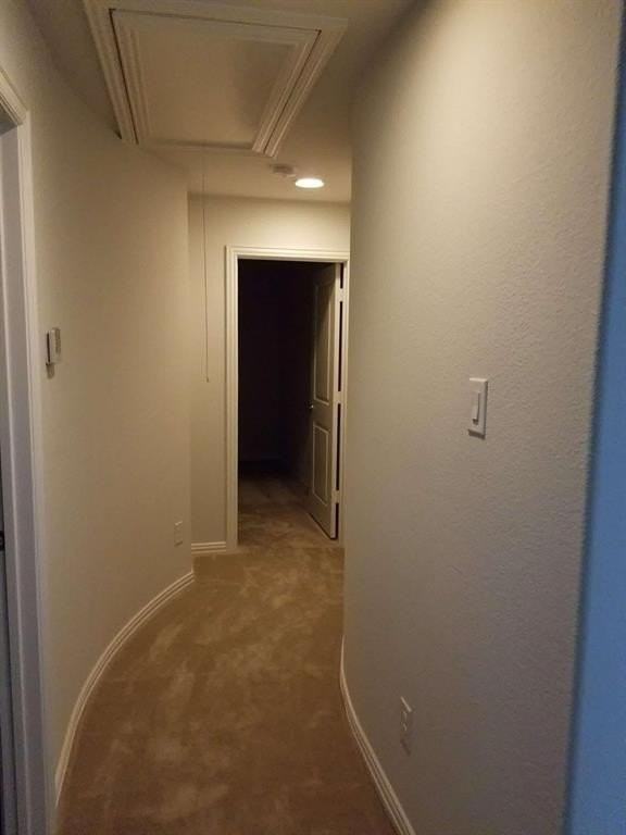 4468 Addax Trl - Photo 6 of 10