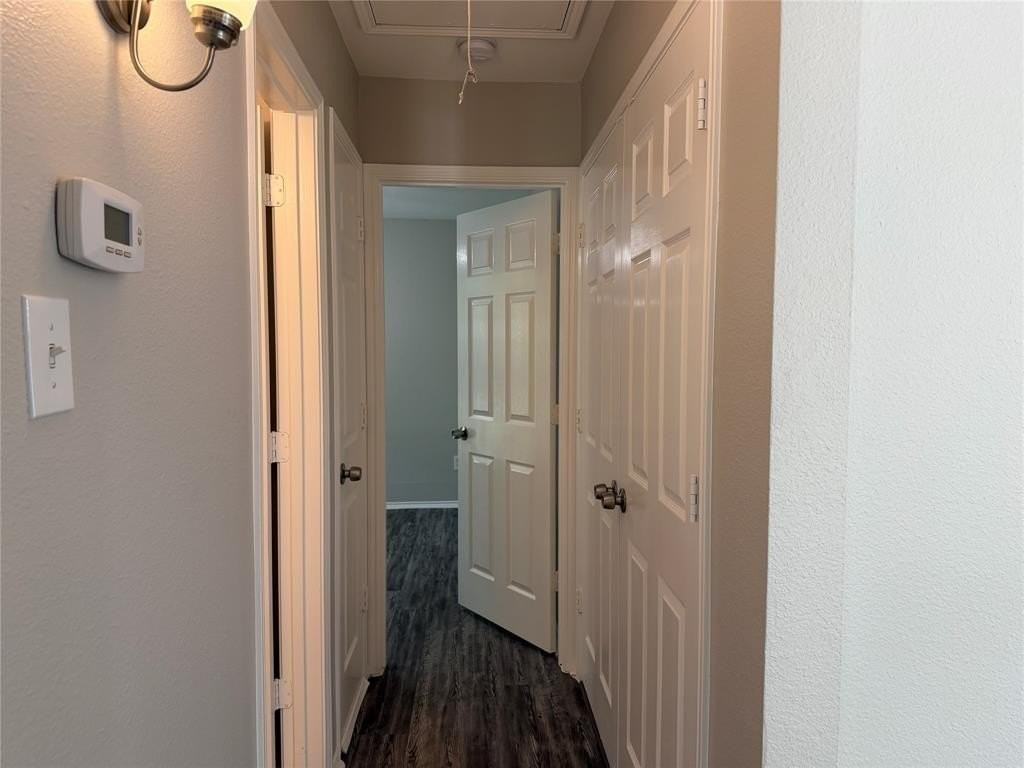 3332 Navaro St - Photo 5 of 23