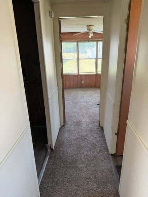 217 Theresa Ln - Photo 5 of 6