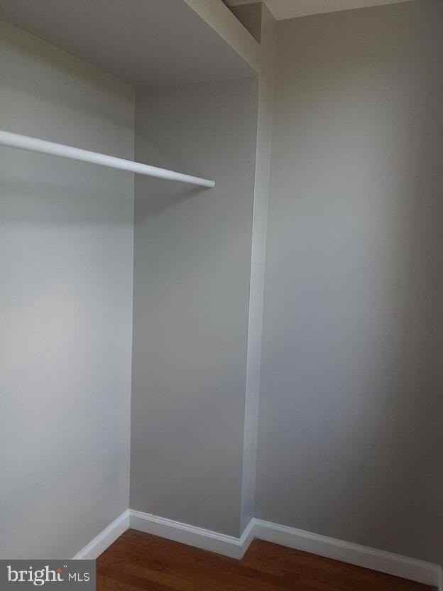 1712 W Lombard St #4 - Photo 5 of 10