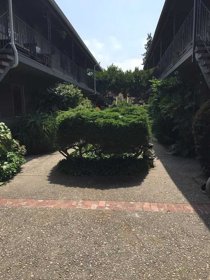 2360 Woolsey St - Photo 3 of 16