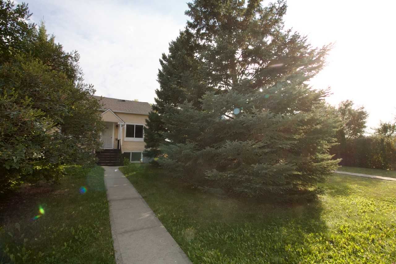 8111 83 Ave Nw Bsmt #Bsmt - Photo 3 of 9