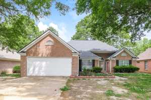 featured image of 8538 Overcup Oaks Dr