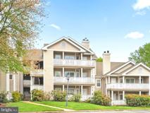 14322 Climbing Rose Way #301 - Photo 1 of 1