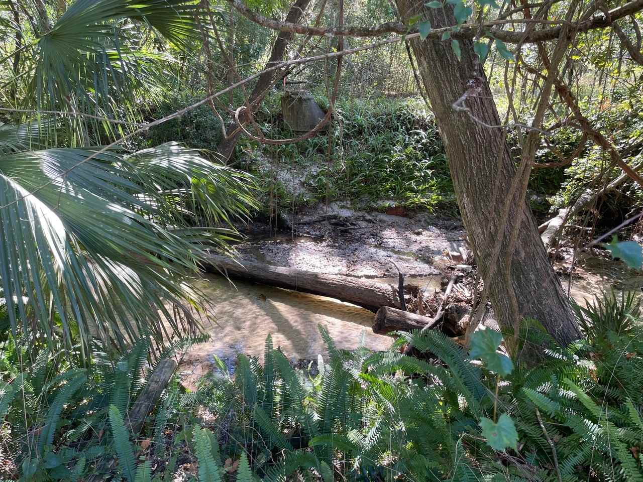 2001 Northwestavenue - Photo 2 of 50