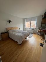 235 West 48th Street #21P - Photo 1 of 1