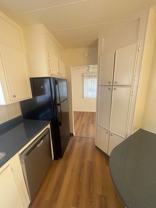 Thunderbird - Photo 1 of 1