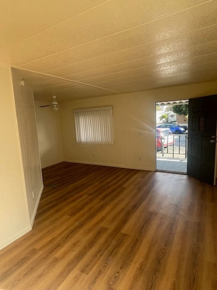 Thunderbird - Photo 2 of 42